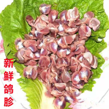 鲜鸽郡肝
