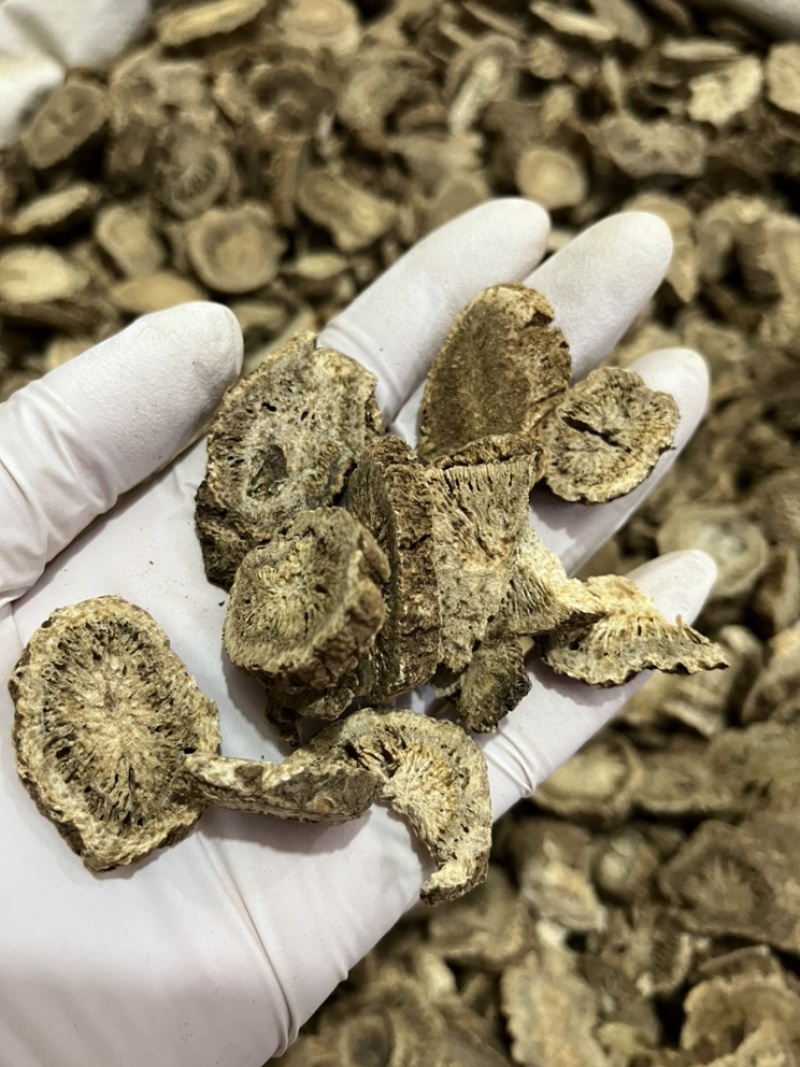 木香今年新货大统货质量好各种规格含量高。欢迎购买