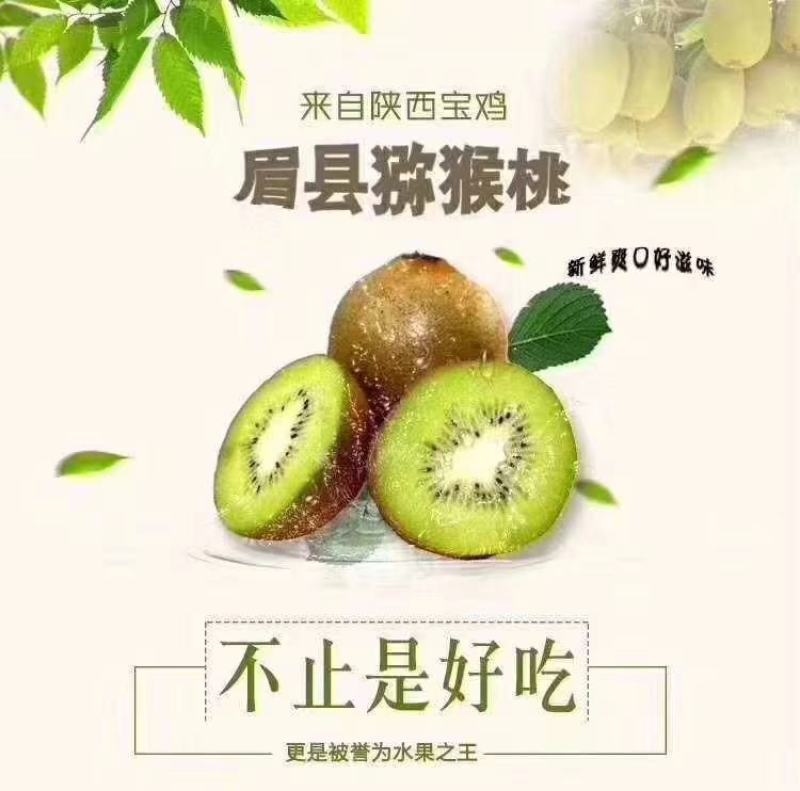 陕西眉县猕猴桃徐香猕猴桃大量上市产地直供一手货源