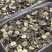 【场地优选】庆元香菇薄菇中国香菇地理标志产