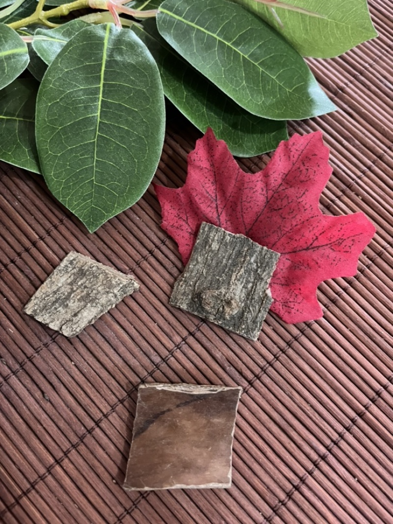 杜仲中药材杜仲块无硫无添加经营各种规格中药材