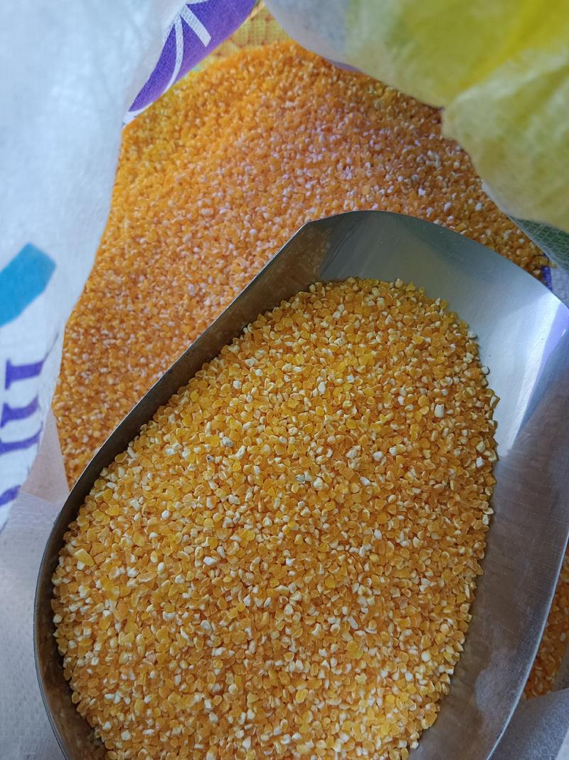 玉米糁黄玉米碎中粒2022年新货粗粮玉米糁5斤起批一件代