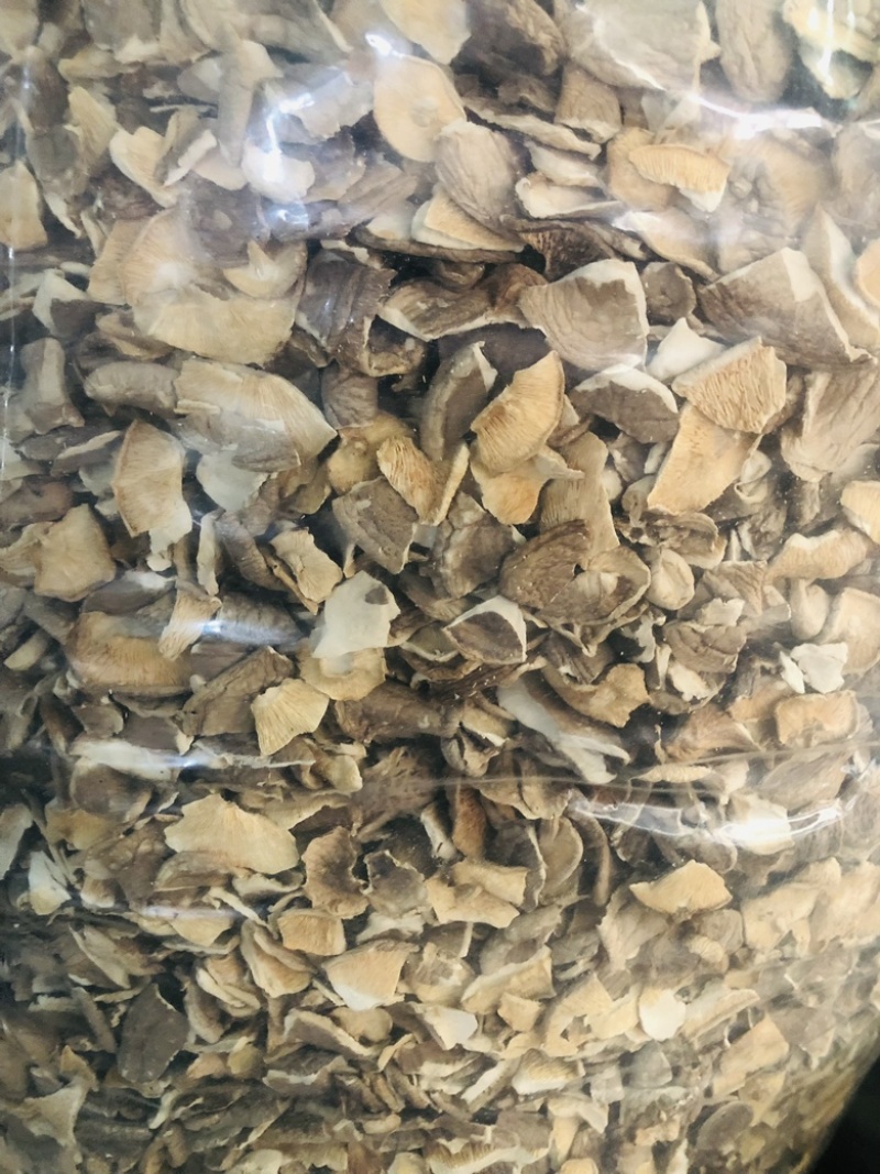 【场地优选】庆元香菇薄菇中国香菇地理标志产