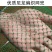 捞鱼实心不锈钢渔具抄网网头网兜手工编织菜市场超市捕虾平头