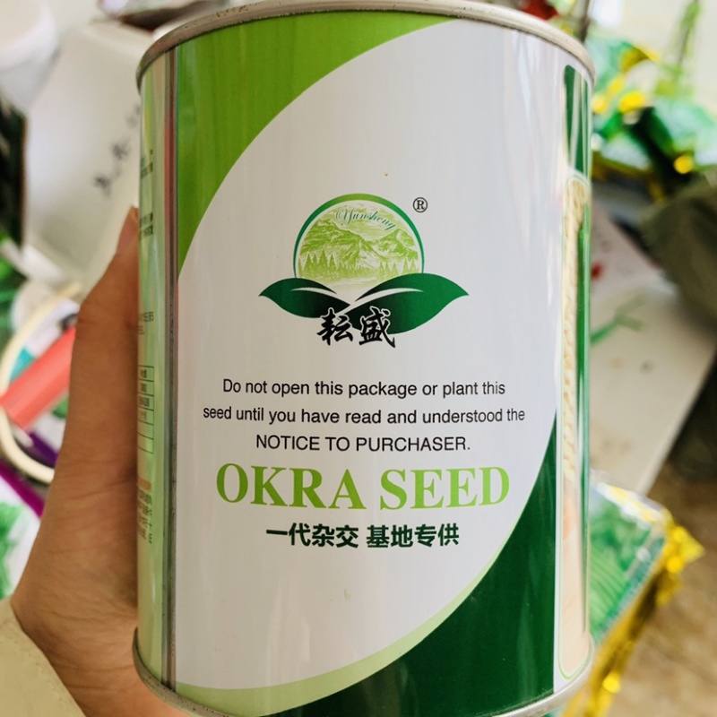 亮绿水果秋葵种子补肾菜基地秋葵蔬菜种子杂交一代早熟品种