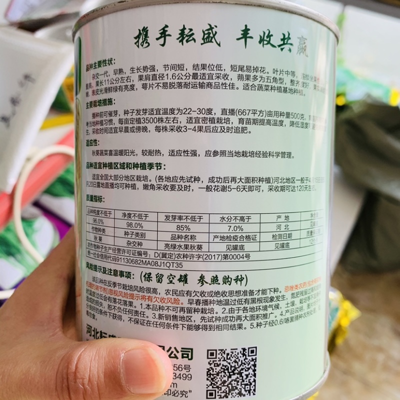 亮绿水果秋葵种子补肾菜基地秋葵蔬菜种子杂交一代早熟品种