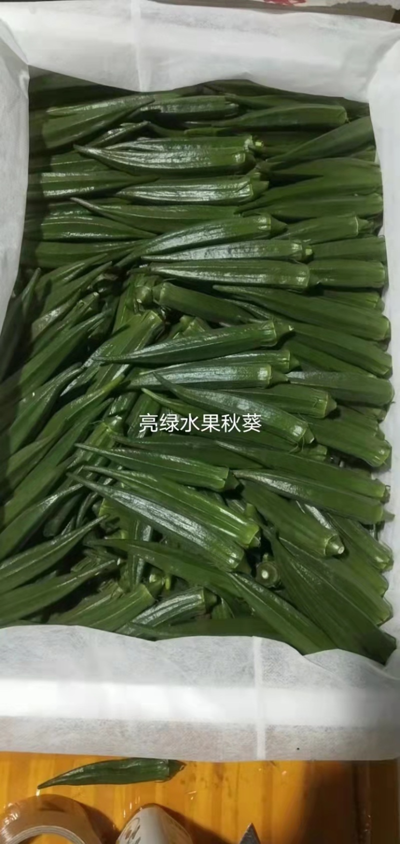 亮绿水果秋葵种子补肾菜基地秋葵蔬菜种子杂交一代早熟品种