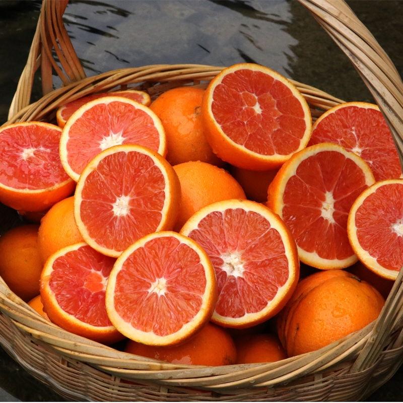 湖北秭归精品中华红橙：果大色鲜纯甜可口细腻化渣汁多皮薄