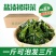 【热卖】盐渍裙带菜海白菜海藻海带凉拌菜麻辣烫火锅食材产地