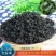【泡发率8-10倍】淡干裙带菜干制法出口特级鲜嫩无沙免洗