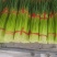推荐2025年河南红帽蒜薹通货50~60cm大量供应