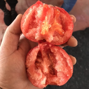海阳普罗旺斯