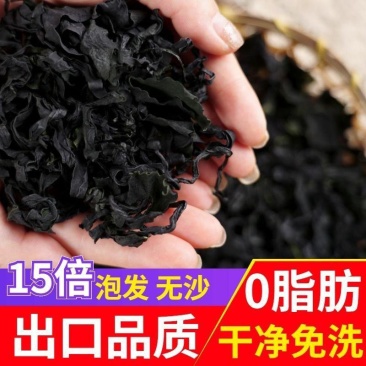 出口级裙带菜干货正宗海白菜海木耳螺旋藻韩国凉拌菜裙带菜板