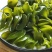 【包邮】5斤新鲜盐渍海木耳海白菜孢子叶海灵芝火锅食材