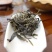 【推荐】云南大理头春新茶上市普洱茶生普散茶生态茶茶饼包邮