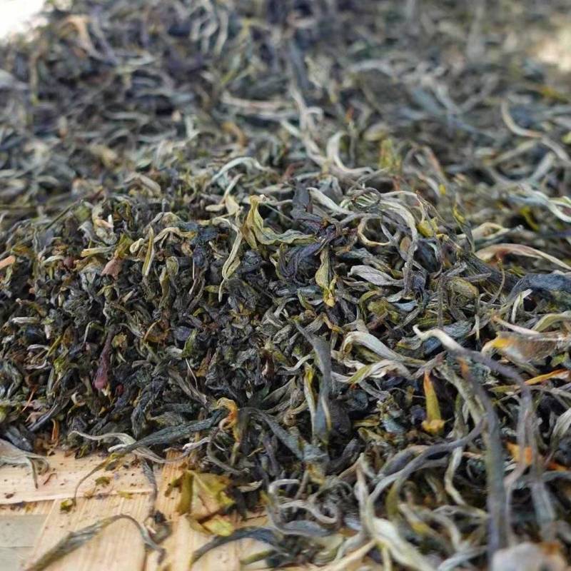 【推荐】云南大理头春新茶上市普洱茶生普散茶生态茶茶饼包邮