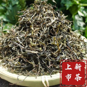 2022年新茶上市云南大理普洱生普头春茶生态野放茶散包邮