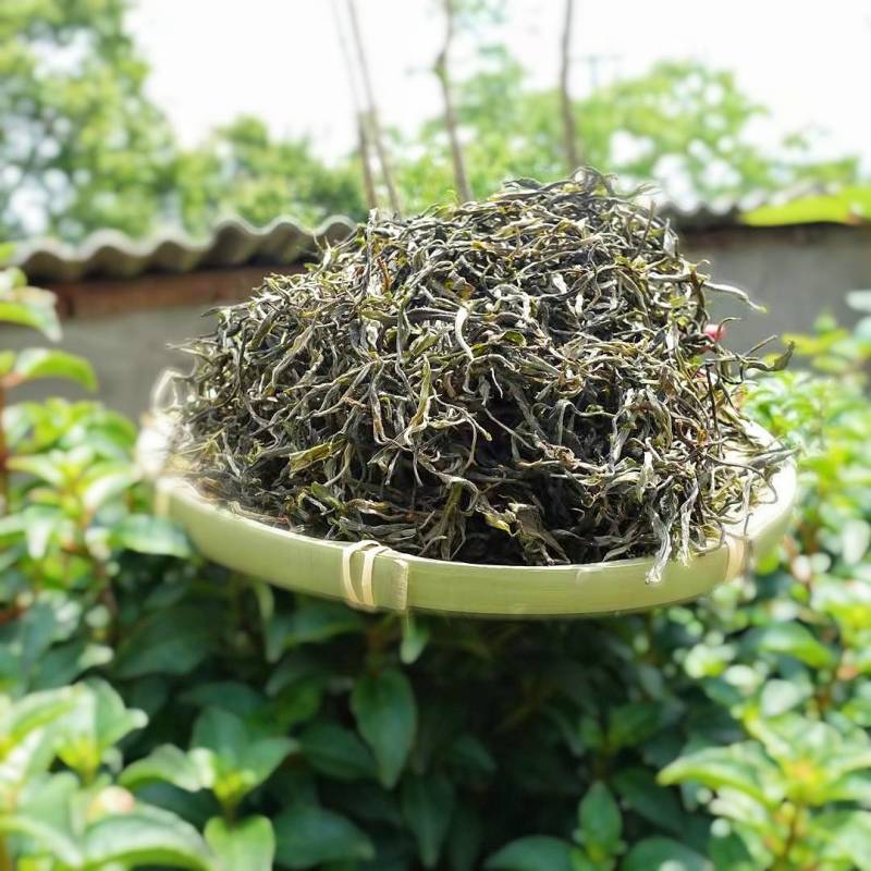 2022年新茶上市云南大理普洱生普头春茶生态野放茶散包邮