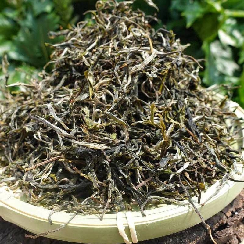 2022年新茶上市云南大理普洱生普头春茶生态野放茶散包邮