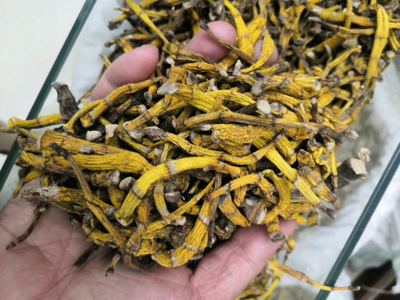 虎牙石斛老挝来的货源，纯干货，