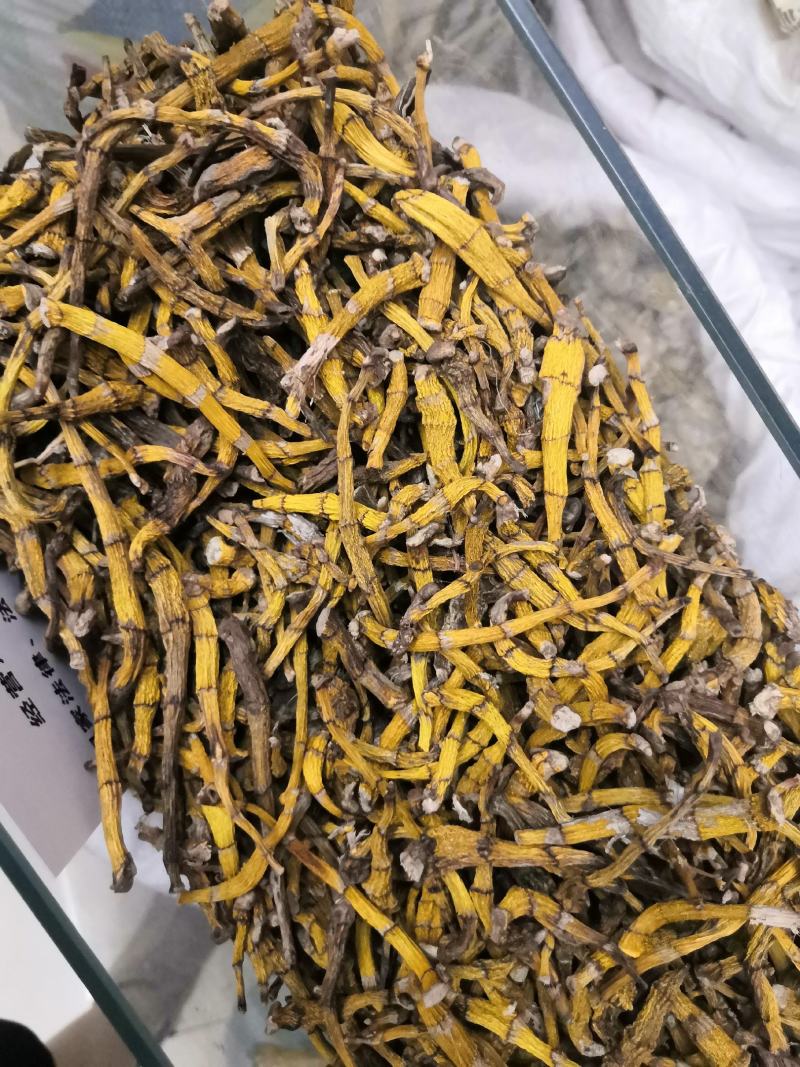 虎牙石斛老挝来的货源，纯干货，