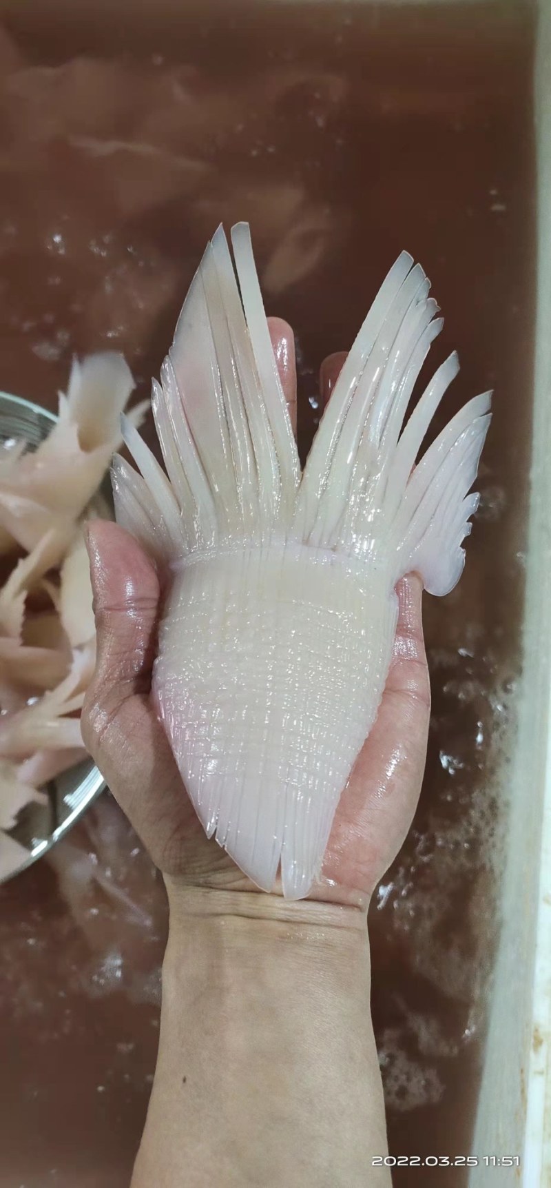 网红火箭鱿鱼火锅，中餐