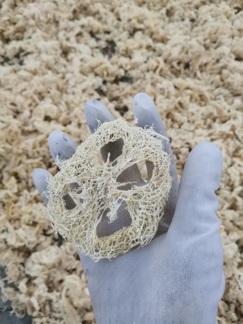 老丝瓜络中药材无硫干丝瓜络切片切丝食用泡茶药用下奶