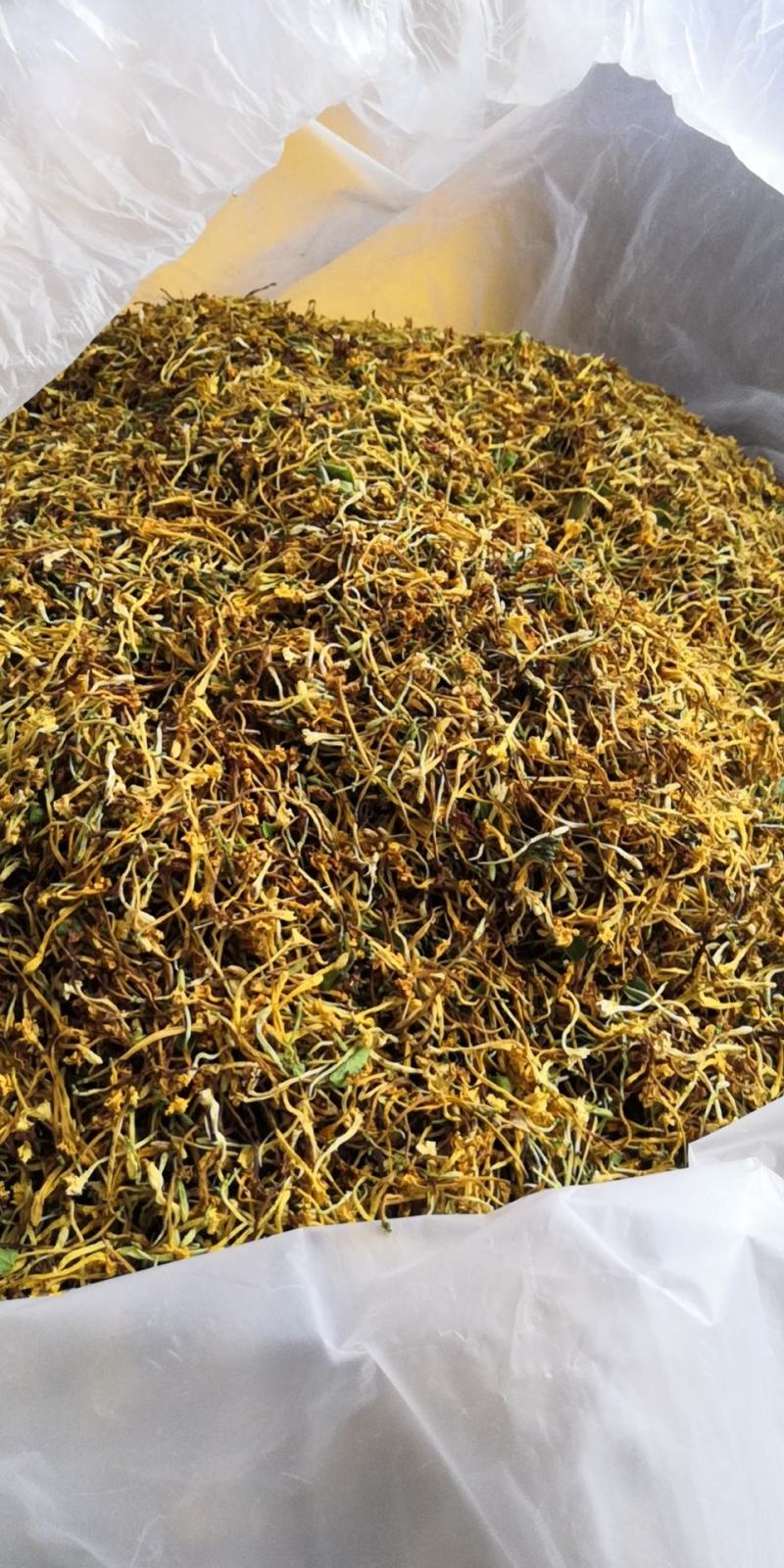 云南野生金银花可视频