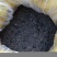 络用丝瓜子杂交丝瓜络籽食用老丝瓜籽可榨油可种可喂鸟