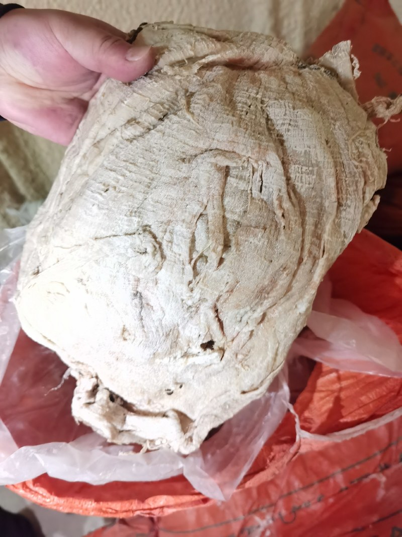 牛底板