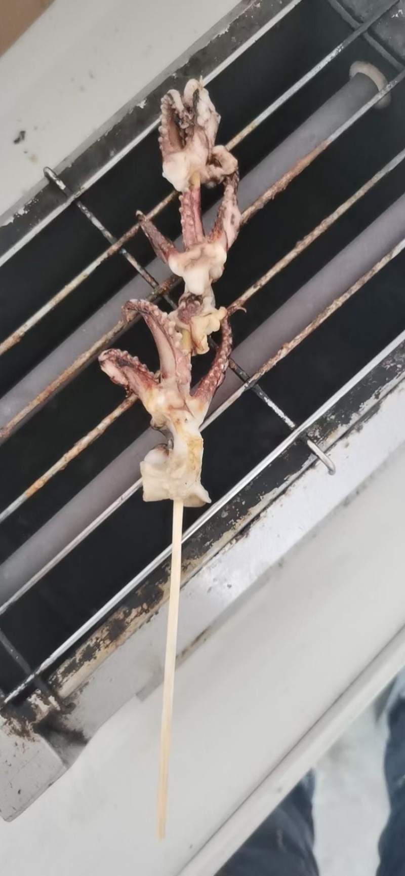 鱿鱼串，大鱿鱼须不怎么缩水