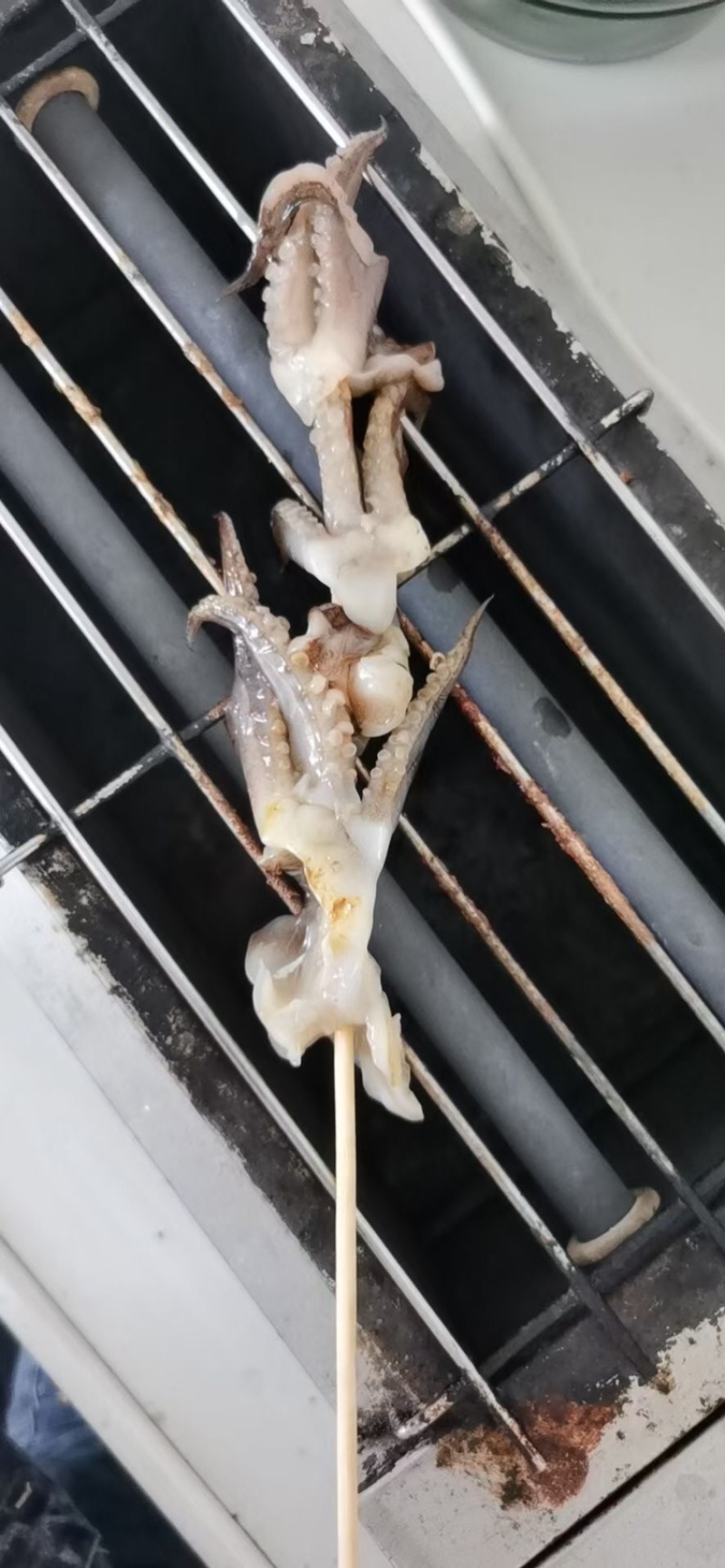 鱿鱼串，大鱿鱼须不怎么缩水