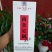 酒质纯粮酒，喝了不上头。杜康酒泉商务定制酒。