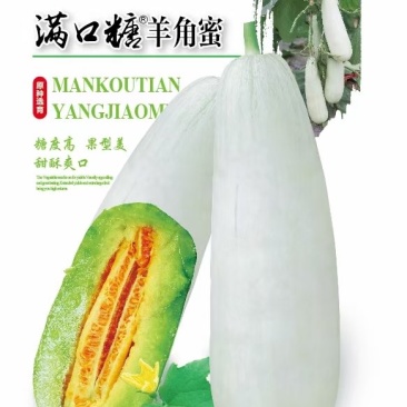 满口糖羊角蜜甜瓜种子全国包邮/甜瓜种子/杂交羊角蜜种子