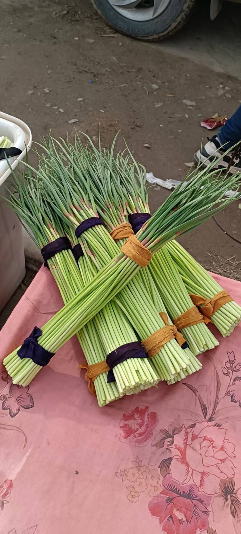 蒜苔精品红帽蒜苔，代发各大超市电商及各大市场。欢迎你的