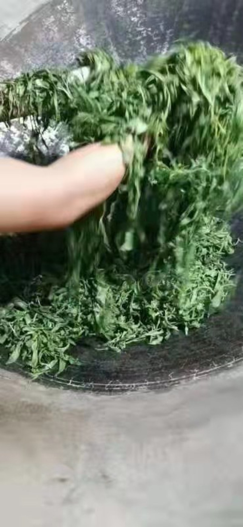 【推荐】正宗云南滇红茶品质保证诚信经营欢迎老板下单