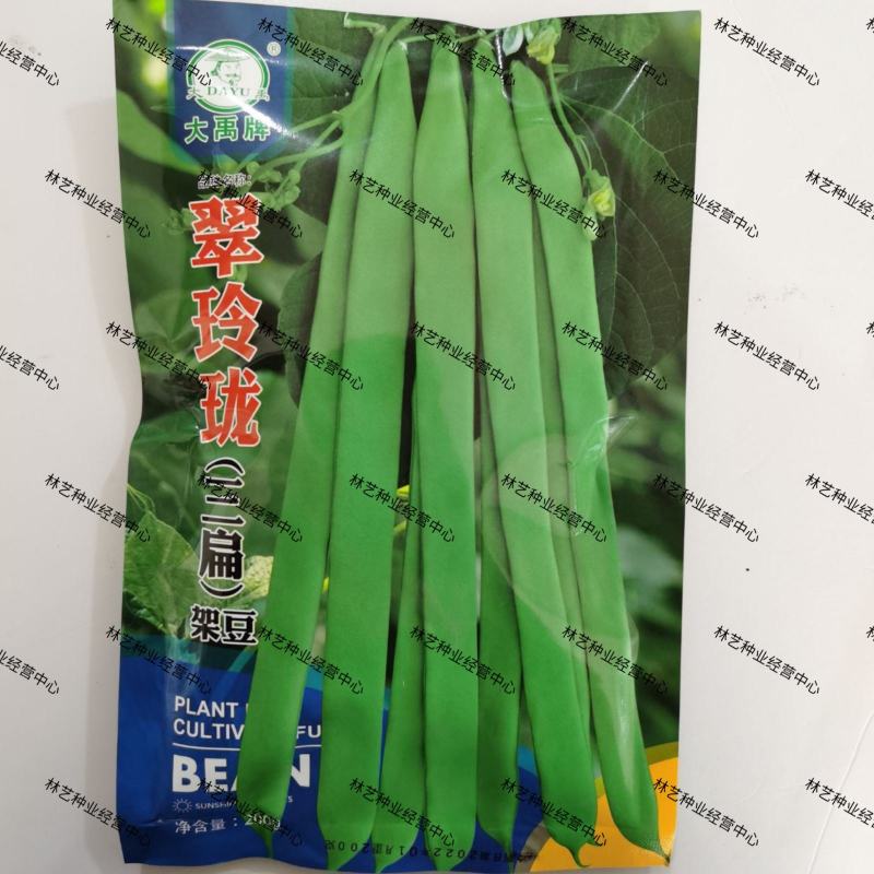 四季豆种子翠玲珑三扁芸豆种子爬藤四季豆蔬菜种子春秋高产菜