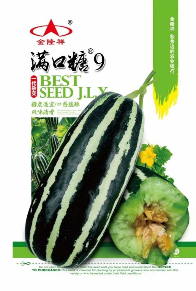 满口糖9号甜瓜种子500粒/袋包邮博洋甜瓜种子