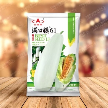 满口糖61甜瓜种子10克/袋高糖高产杂交一代