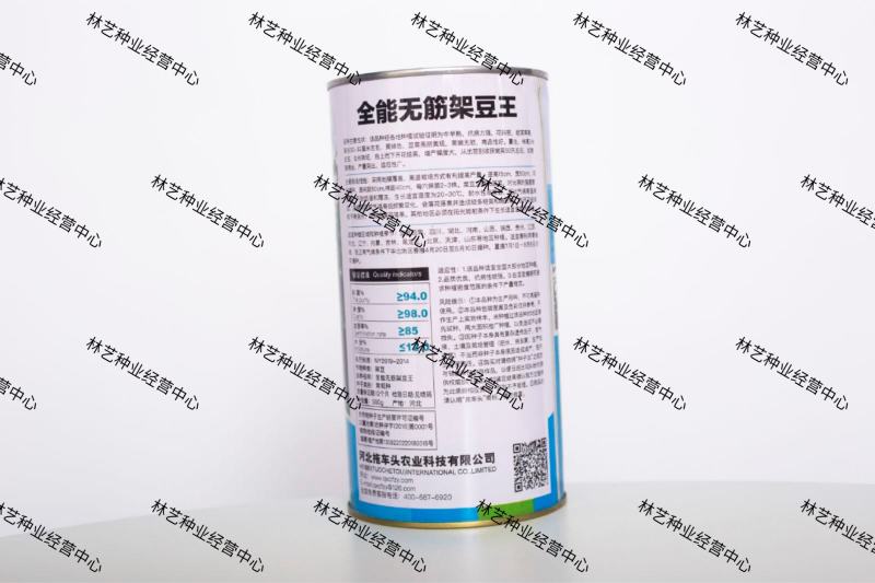 全能无筋架豆王种子荚嫩无筋结荚率高春夏秋播两季豆
