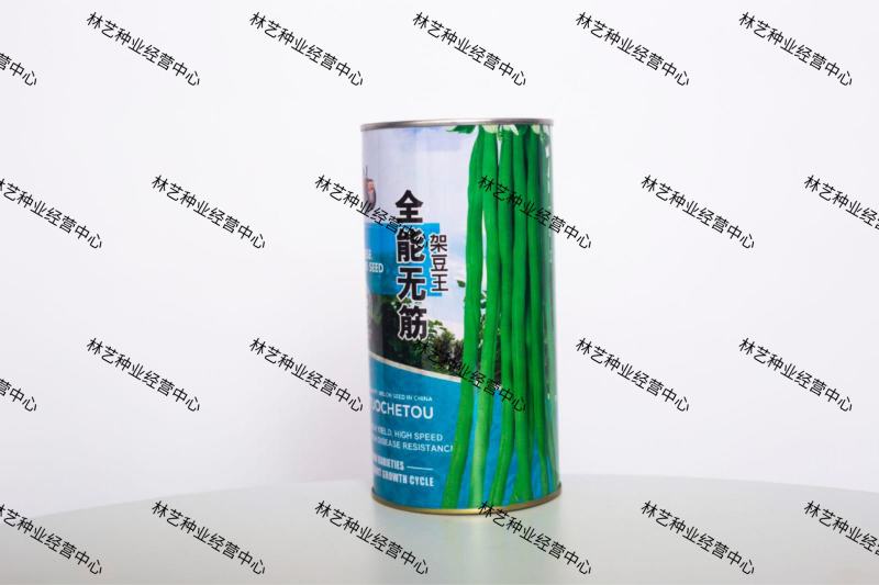 全能无筋架豆王种子荚嫩无筋结荚率高春夏秋播两季豆