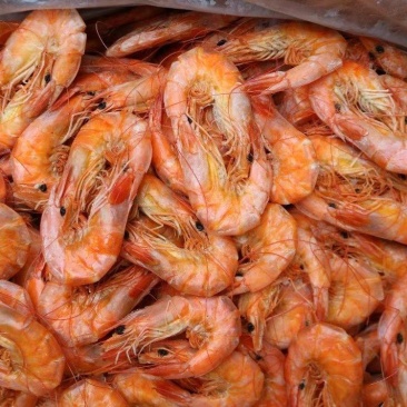 一德路18对即食烤虾干颜色干度好一件代发批发货源