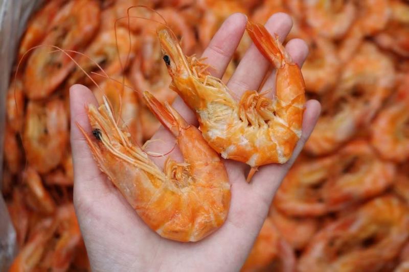 一德路18对即食烤虾干颜色干度好一件代发批发货源