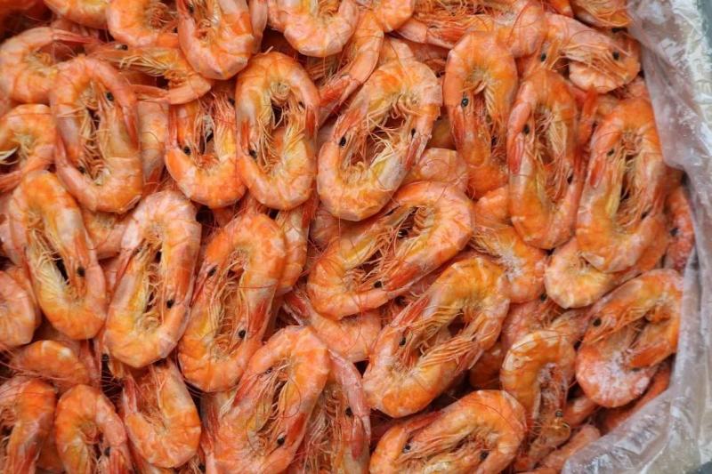 一德路18对即食烤虾干颜色干度好一件代发批发货源