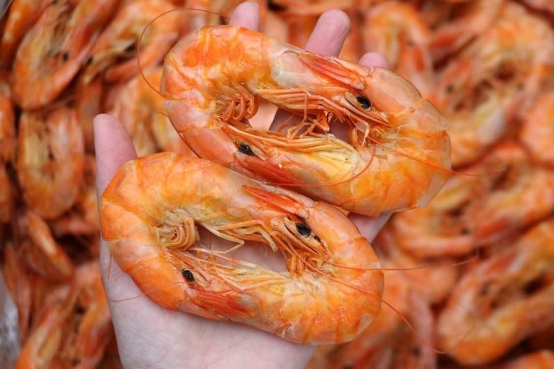 一德路18对即食烤虾干颜色干度好一件代发批发货源