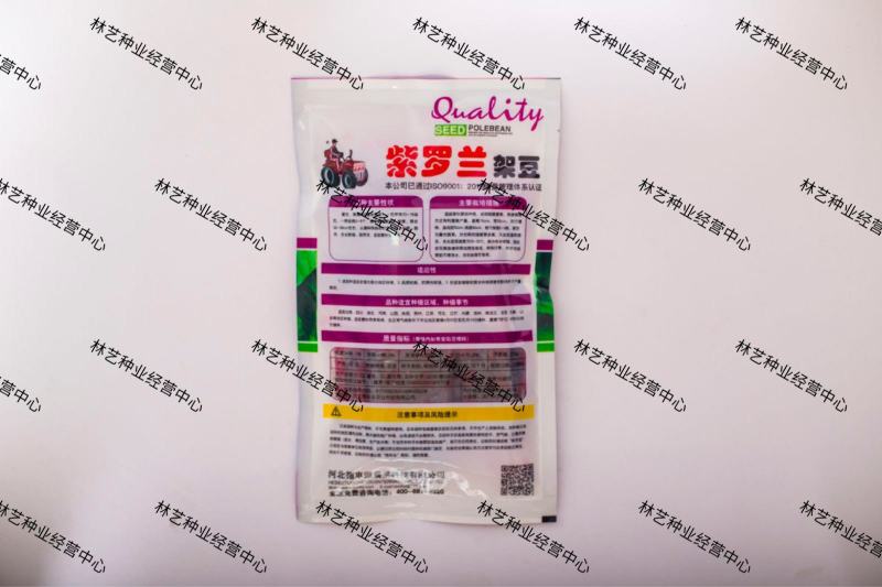 紫罗兰架豆种子高产豆角种籽紫花抗病强四季豆芸豆蔬菜大田种