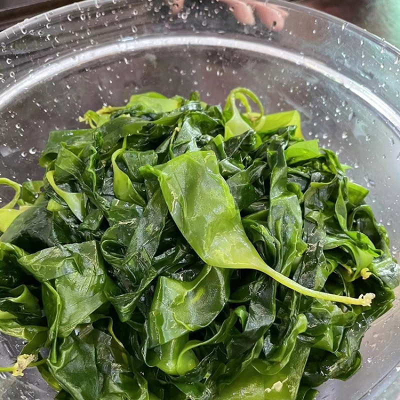 霞浦海带苗非干货新鲜小海带芽盐渍嫩苗凉拌火锅商用