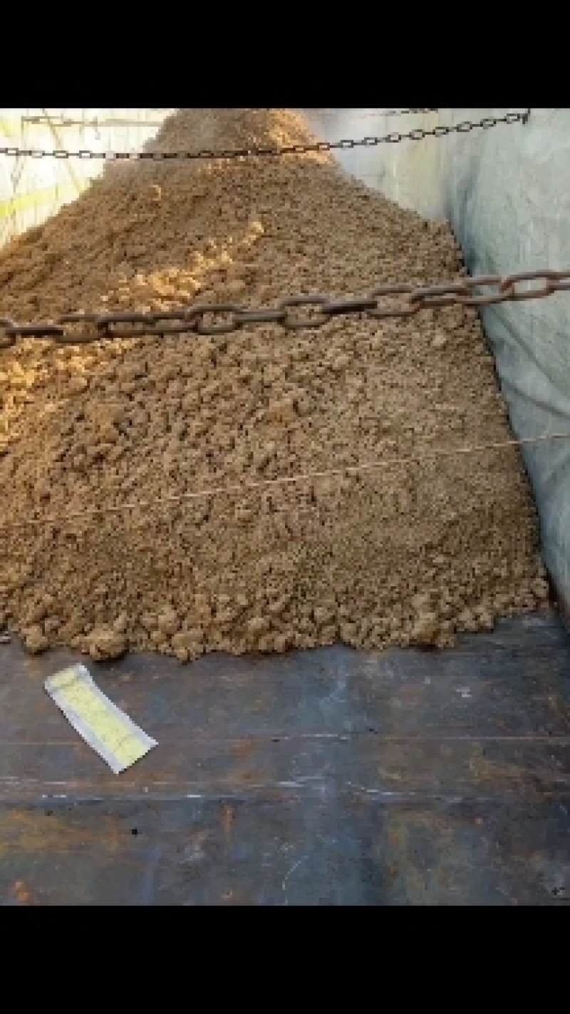 新鲜啤酒糟，水分低，蛋白高，价格实惠，养殖首先料