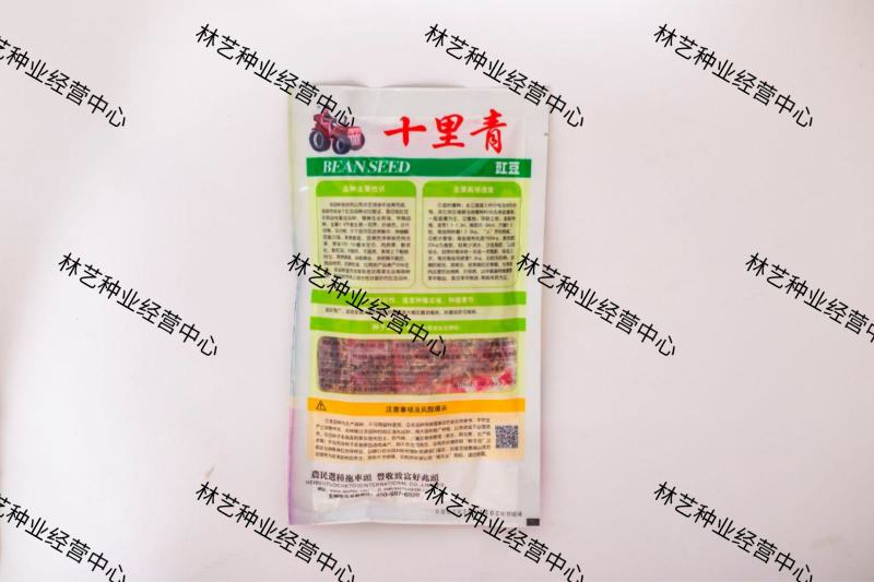 十里青豇豆种子早熟翠绿顺长高产春秋季播长豆角种子大田基地