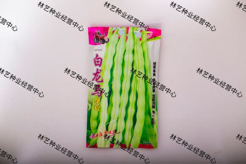 白龙马架豆种子高产豆角种籽白花抗病强四季豆芸豆蔬菜大田用